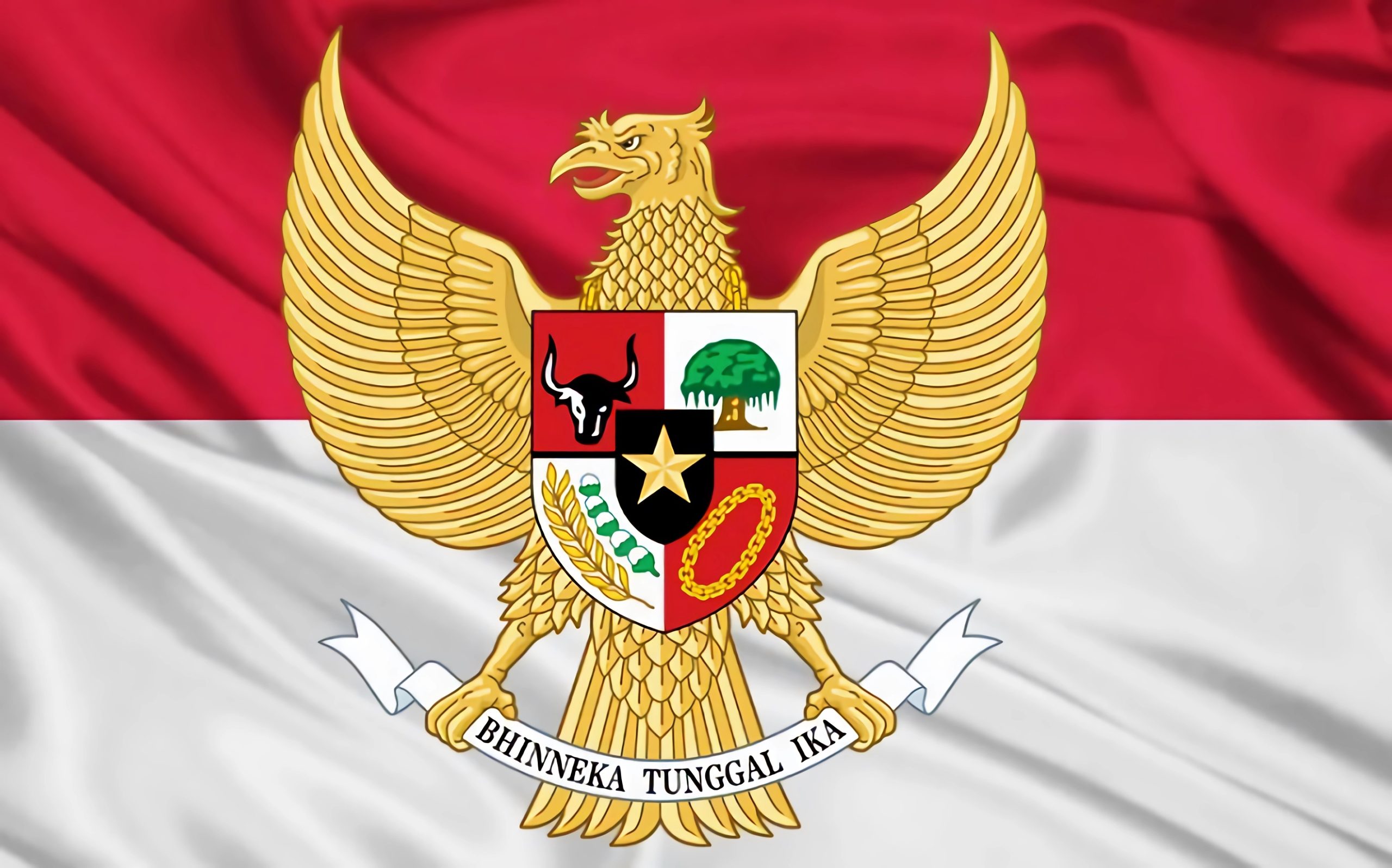 IMG 20250602 WA0010